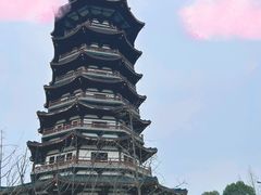 -洋湖国家湿地公园