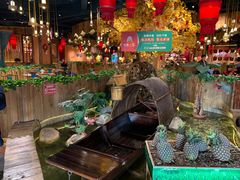 -老滇山寨•云南特色菜•地方菜•民族风情歌舞表演(金碧店)