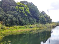 -海南热带雨林国家公园吊罗山景区