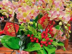 -双季花艺园艺市场(浦东店)