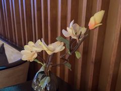 -浅深(北京北四环精品店)