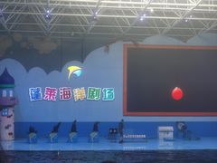 -蓬莱欧乐堡海洋极地世界