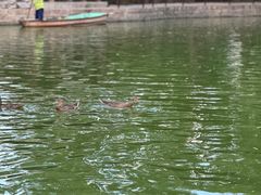 -团结湖公园