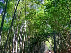 -敬亭山风景名胜区