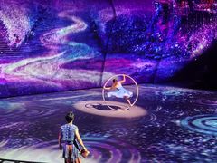 -重庆国际马戏城