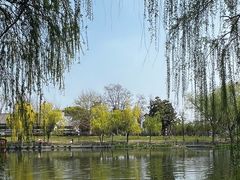 -涵家味土菜馆·徽州一绝臭鳜鱼(三河古镇店)