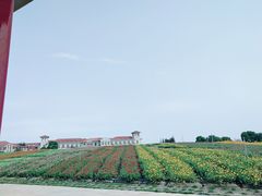 -歌斐颂巧克力小镇