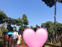 -东寨港红树林旅游区