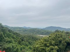 -广州市帽峰山景区
