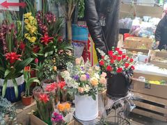 -循礼门鲜花花市(武汉循礼门店)