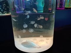 -苏州海洋馆