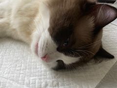 -美迦爱-牙专科·兔科·骨科诊疗中心(北苑店)