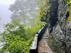 -青城山