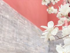 -妙应寺白塔