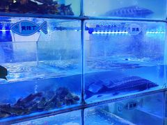 -忘情水鱼头·鲜鱼火锅(滨江中路店)