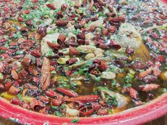 -东吴霸王兔(松青路店)