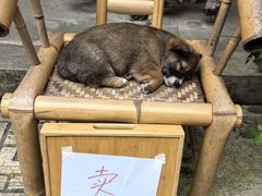 -海窝子古镇