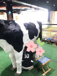 -秦皇星际小蚂蚁乐园