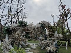-府河摄影公园