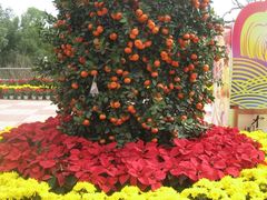 -广东茂名森林公园