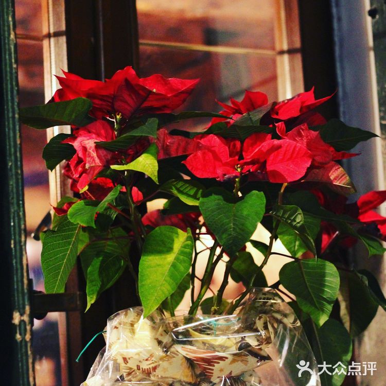 威尼斯两日打卡游乐攻略