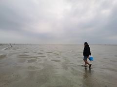 -红树林天天赶海