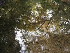 -西湖风景区十里琅珰-五云山