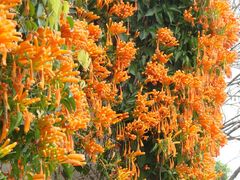 -广东外语外贸大学(白云山校区)