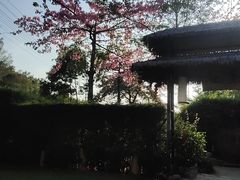 -陶缘一号·四季缘·老字号顺德菜·户外婚礼家宴(西滘店)