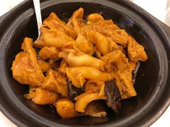 花胶珍菌千层豆腐-金翠皇宫粤菜·点心·海鲜(科技园店)