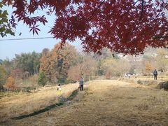 -塔川景区