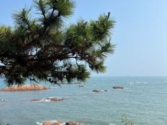 -青岛海滨风景区