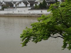 -枫桥景区
