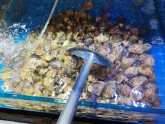 -四海蒸鲜蒸汽海鲜自助(北戴河店)