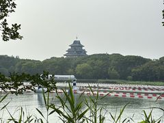 -金鸡湖桃花岛