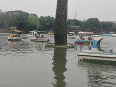 -圩墩遗址公园