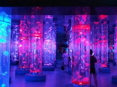 -梦幻海洋王国(吾悦广场张家港店)