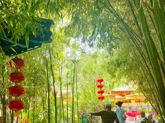 -白家大院·王府宫廷菜(苏州街店)