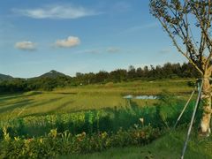 -西涌国际滨海旅游区