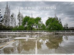 -上海植物园·停车场