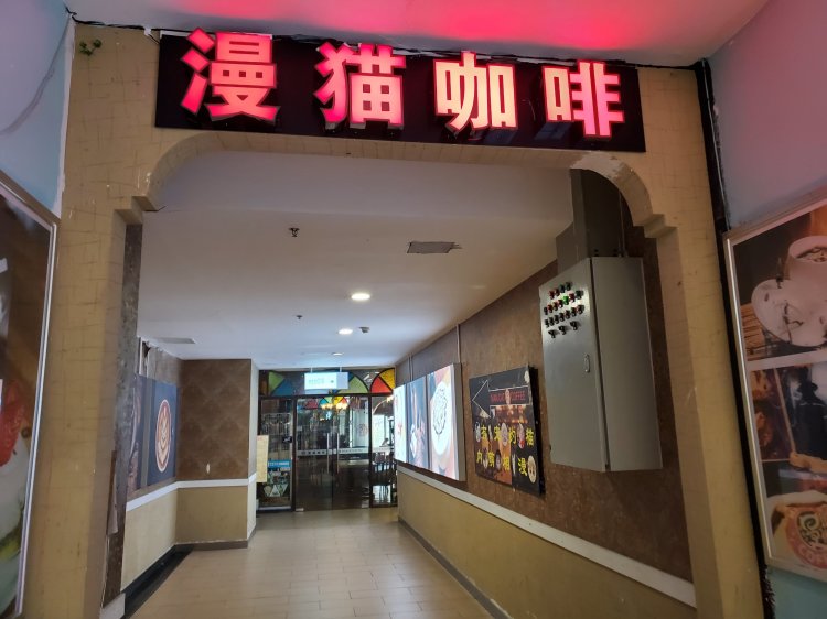 观音桥撸猫喝咖啡的好去处--漫猫咖啡