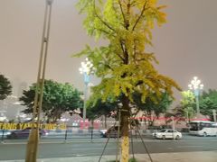 -张鸭子大酒楼(南滨路店)