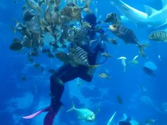 -太平洋海底世界