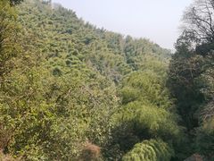 -莫干山风景区