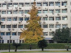 -西南交通大学(九里校区)