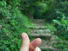 -香山公园