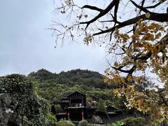 -三峡人家风景区