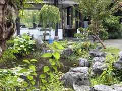 -日出青木·杭帮菜名店