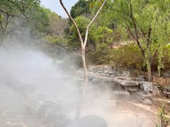 -北京西山国家森林公园