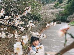 -广州市流溪河国家森林公园